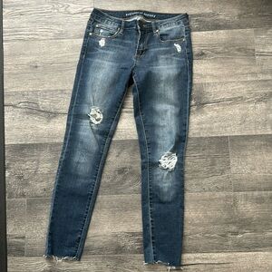 Articles of Society Sarah Distressed Skinny Jeans (Prairie), Size 26